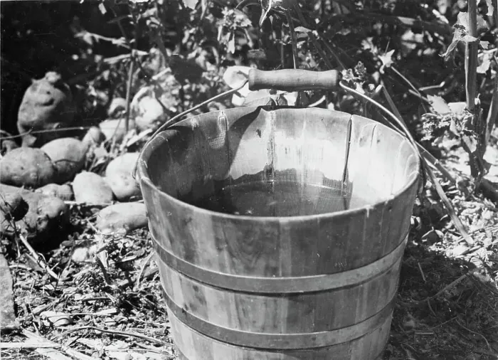 Framed Print : Water, Southern California, 1935. Creator: Dorothea Lange Framed Print : Water, Southern California, 1935. Creator: Dorothea Lange