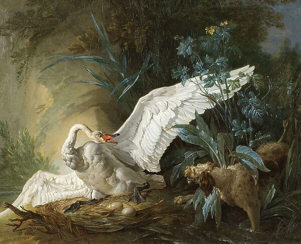Water Spaniel Surprising a Swan on its Nest, 1740. Creator: Jean-Baptiste Oudry