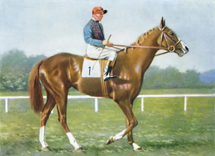 Framed Print : Waterbird, Jockey: E. Smith, 1939 Framed Print : Waterbird, Jockey: E. Smith, 1939