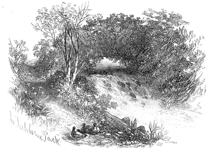 Framed Print : Waterfall in Tichborne Park, Alresford, Hants. 1871. Creator: Unknown Framed Print : Waterfall in Tichborne Park, Alresford, Hants. 1871. Creator: Unknown