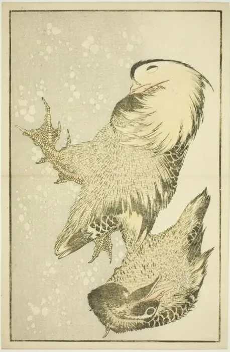 Framed Print : Two Waterfowl, from The Picture Book of Realistic Paintings of Hokusai (Hokusai) Framed Print : Two Waterfowl, from The Picture Book of Realistic Paintings of Hokusai (Hokusai)