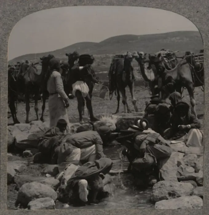 Framed Print : Watering camels at Jacobs Well, c1900 Framed Print : Watering camels at Jacobs Well, c1900