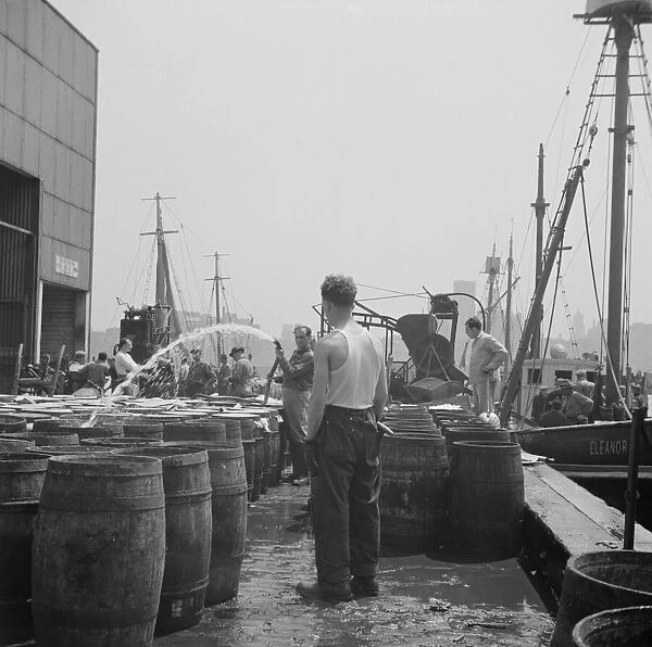 Watering fish at the Fulton fish market with brine water, New York, 1943. Creator: Gordon Parks