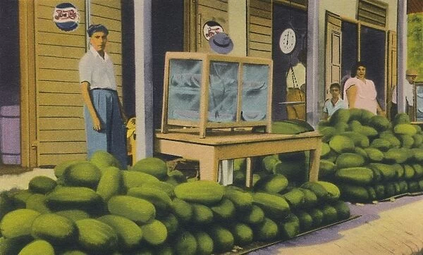 Watermelons For Sale, Trinidad, B. W. I. c1940s. Creator: Unknown