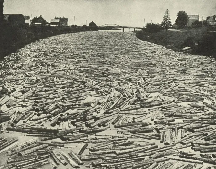 Framed Print : On their Way to the Saw Mills, c1948. Creator: Unknown Framed Print : On their Way to the Saw Mills, c1948. Creator: Unknown