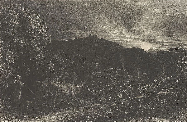 The Weary Ploughman, or The Herdsman, or Tardus Bubulcus, begun 1858
