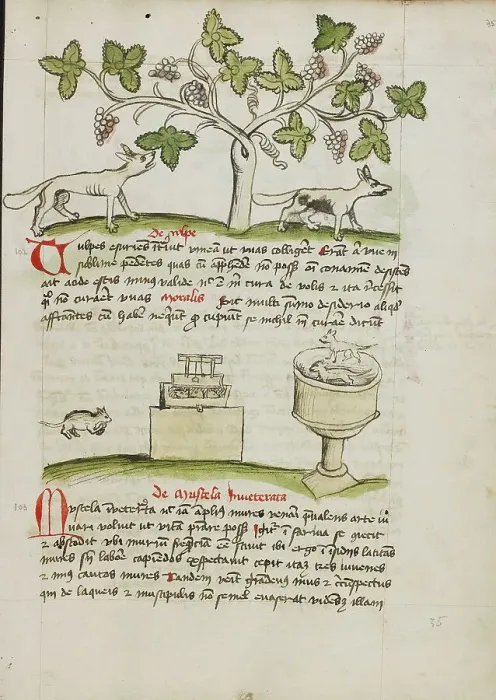 Framed Print : A Weasel and Several Captured Mice; Fables, third quarter of 15th century. Creator: Unknown