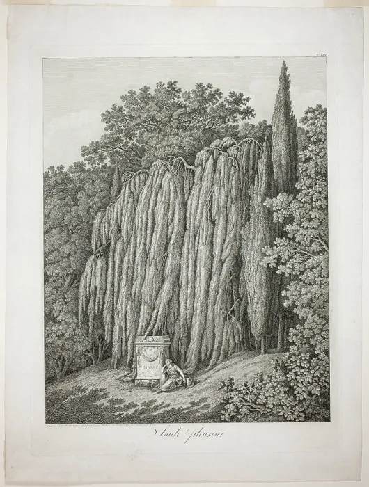 Framed Print : Weeping Willow, 1802. Creator: Jacob Philip Hackert Framed Print : Weeping Willow, 1802. Creator: Jacob Philip Hackert