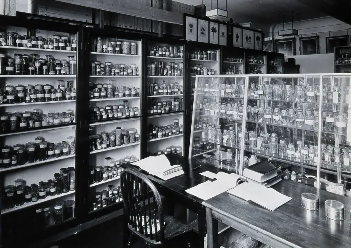 Framed Print : The Wellcome Building, Euston Road, London: working area in the materia medica stores, c1930s.. Creator: Unknown Framed Print : The Wellcome Building, Euston Road, London: working area in the materia medica stores, c1930s.. Creator: Unknown