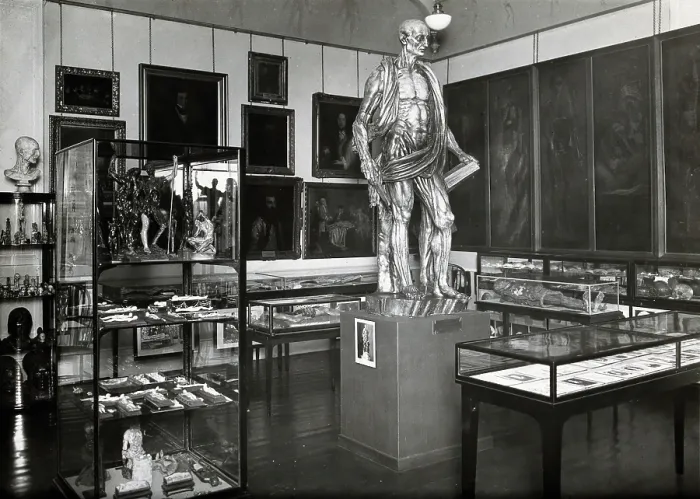 Framed Print : Wellcome Historical Medical Museum, Wigmore Street, London: anatomy room on the first floor. Creator: Unknown Framed Print : Wellcome Historical Medical Museum, Wigmore Street, London: anatomy room on the first floor. Creator: Unknown