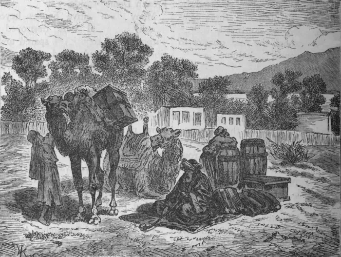 Framed Print : Wells of Moses, Near Suez, c1882 Framed Print : Wells of Moses, Near Suez, c1882