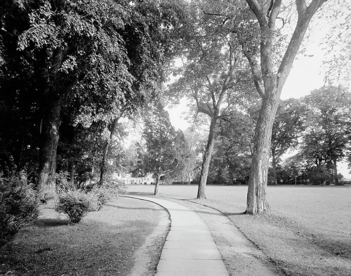Framed Print : West approach, Mt. Vernon, Va. between 1900 and 1915. Creator: William H. Jackson Framed Print : West approach, Mt. Vernon, Va. between 1900 and 1915. Creator: William H. Jackson