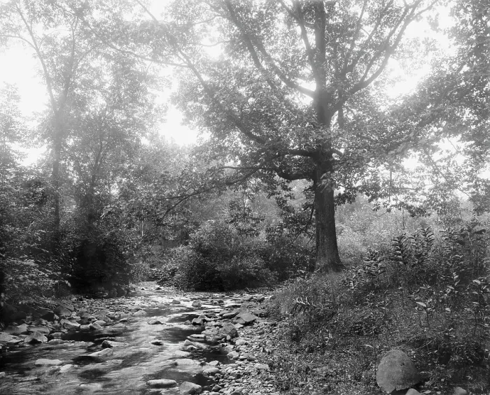 Framed Print : West River at Westville, New Haven, between 1900 and 1906. Creator: Unknown Framed Print : West River at Westville, New Haven, between 1900 and 1906. Creator: Unknown