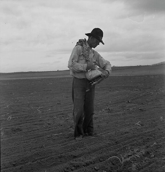 West Texas farmer prepares to sow millet, 1937. Creator: Dorothea Lange
