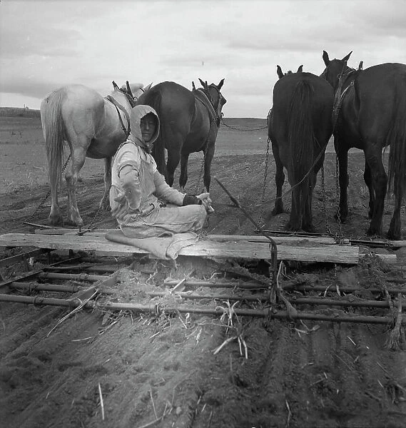 West Texas tenant farmer's wife, 1937. Creator: Dorothea Lange