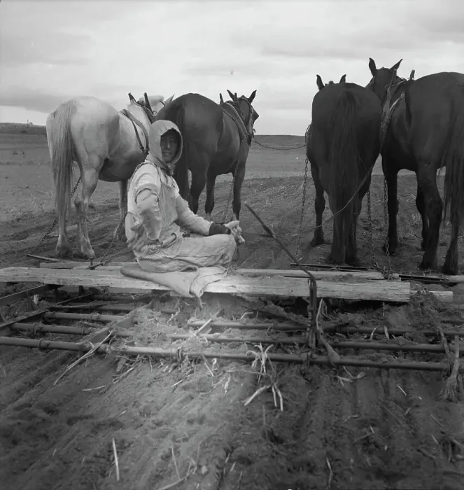 Framed Print : West Texas tenant farmer's wife, 1937. Creator: Dorothea Lange Framed Print : West Texas tenant farmer's wife, 1937. Creator: Dorothea Lange