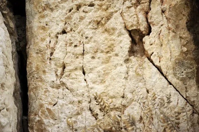 Framed Print : Detail of Western Wall, Jerusalem, Israel, 2013. Creator: LTL Framed Print : Detail of Western Wall, Jerusalem, Israel, 2013. Creator: LTL