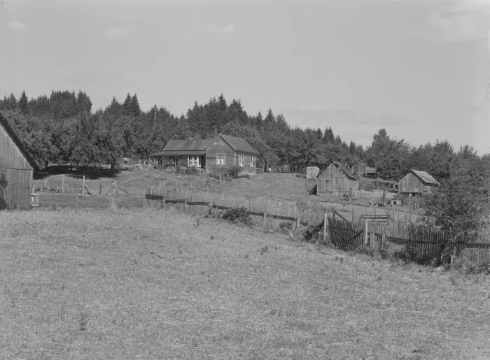 Framed Print : Western Washington subsistence farm, whittled out of the... Grays Harbor County, Washington, 1939. Creator: Dorothea Lange Framed Print : Western Washington subsistence farm, whittled out of the... Grays Harbor County, Washington, 1939. Creator: Dorothea Lange