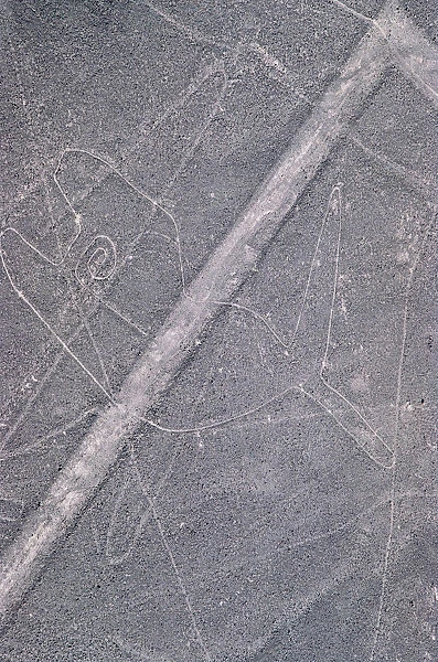 The Whale, Nazca Lines, Ica, Peru, 2015. Creator: Luis Rosendo