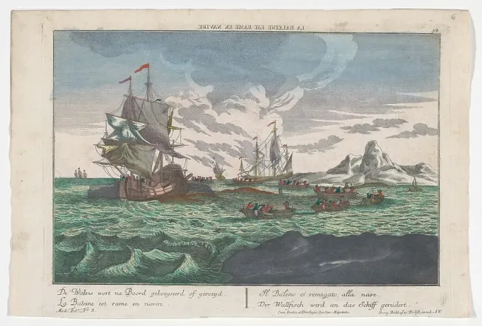 Framed Print : Whaling, 1742-1801. Creator: Anon Framed Print : Whaling, 1742-1801. Creator: Anon