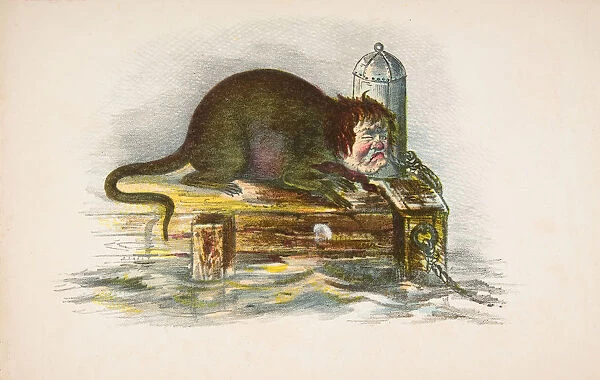 Wharf Rat, from The Comic Natural History of the Human Race, 1851