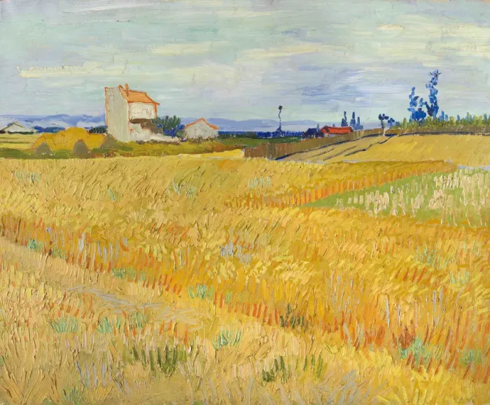 Framed Print : Wheat Field (Champ de ble), 1888 Framed Print : Wheat Field (Champ de ble), 1888