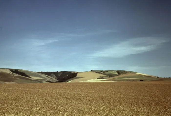 Framed Print : Wheat land, Walla Walla, Washington, 1941. Creator: Russell Lee Framed Print : Wheat land, Walla Walla, Washington, 1941. Creator: Russell Lee