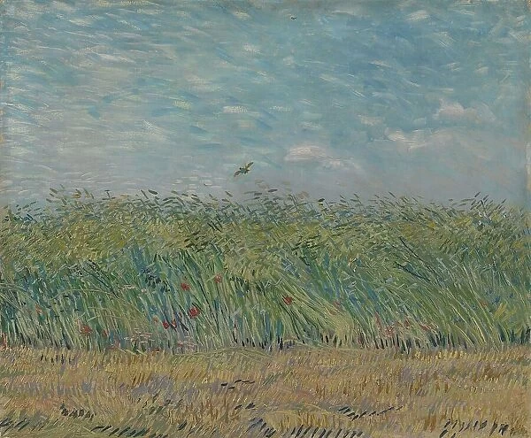 Wheatfield with Partridge, 1887. Creator: Gogh, Vincent, van (1853-1890)