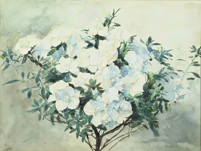 Framed Print : White Azaleas, ex.1909. Creator: Francis Edward James Framed Print : White Azaleas, ex.1909. Creator: Francis Edward James