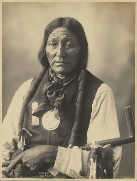 Framed Print : White Buffalo, of the Arapaho People, 1898. Creators: Adolph F. Muhr, Frank A. Rinehart Framed Print : White Buffalo, of the Arapaho People, 1898. Creators: Adolph F. Muhr, Frank A. Rinehart