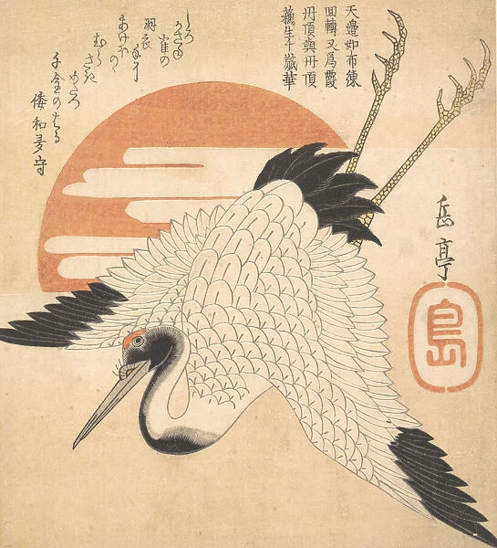 White Crane Flying across the Suns Disc, 1835?. Creator: Gakutei