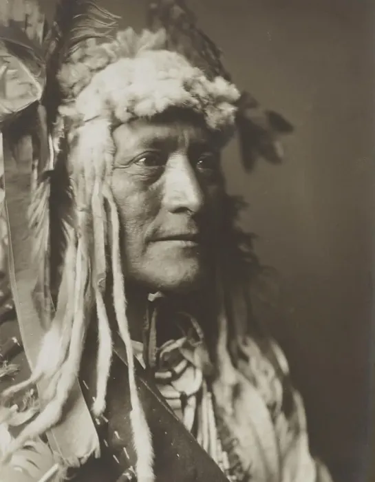 Framed Print : White Duck, c1908. Creator: Edward Sheriff Curtis Framed Print : White Duck, c1908. Creator: Edward Sheriff Curtis