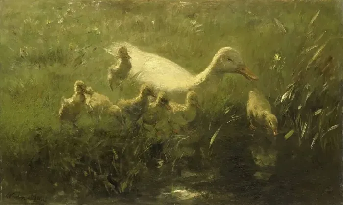 Framed Print : White duck and ducklings, 1880-1910. Creator: Willem Maris Framed Print : White duck and ducklings, 1880-1910. Creator: Willem Maris