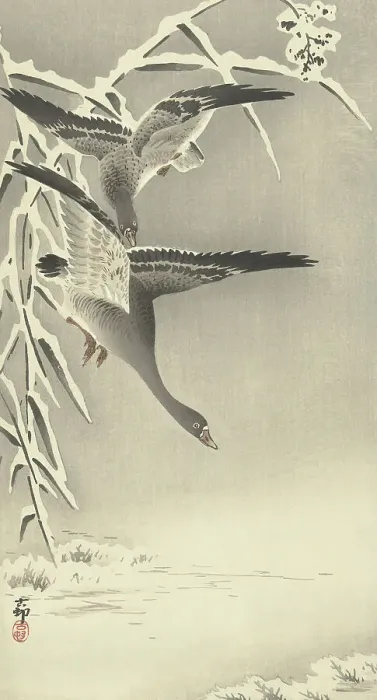 Framed Print : Two white-fronted geese in snowy landscape. Creator: Ohara, Koson (1877-1945) Framed Print : Two white-fronted geese in snowy landscape. Creator: Ohara, Koson (1877-1945)