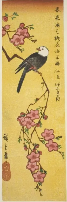 Framed Print : White-headed bird on peach branch, c. 1840. Creator: Ando Hiroshige Framed Print : White-headed bird on peach branch, c. 1840. Creator: Ando Hiroshige