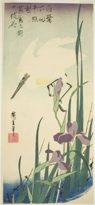 Framed Print : White heron and iris, c. 1832 / 34. Creator: Ando Hiroshige Framed Print : White heron and iris, c. 1832 / 34. Creator: Ando Hiroshige