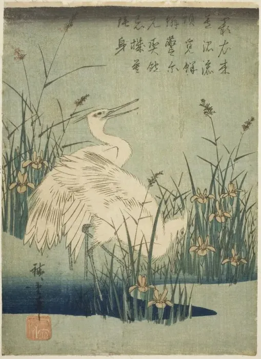 Framed Print : White herons and iris, c. 1830s. Creator: Ando Hiroshige Framed Print : White herons and iris, c. 1830s. Creator: Ando Hiroshige