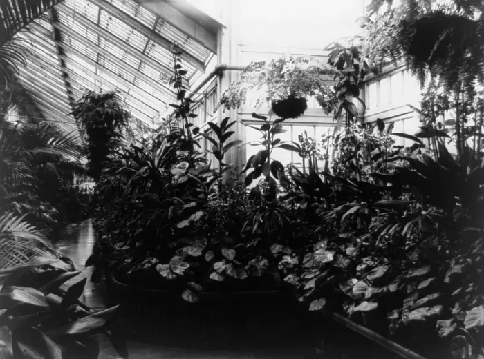 Framed Print : White House, Conservatory, 1889. Creator: Frances Benjamin Johnston Framed Print : White House, Conservatory, 1889. Creator: Frances Benjamin Johnston