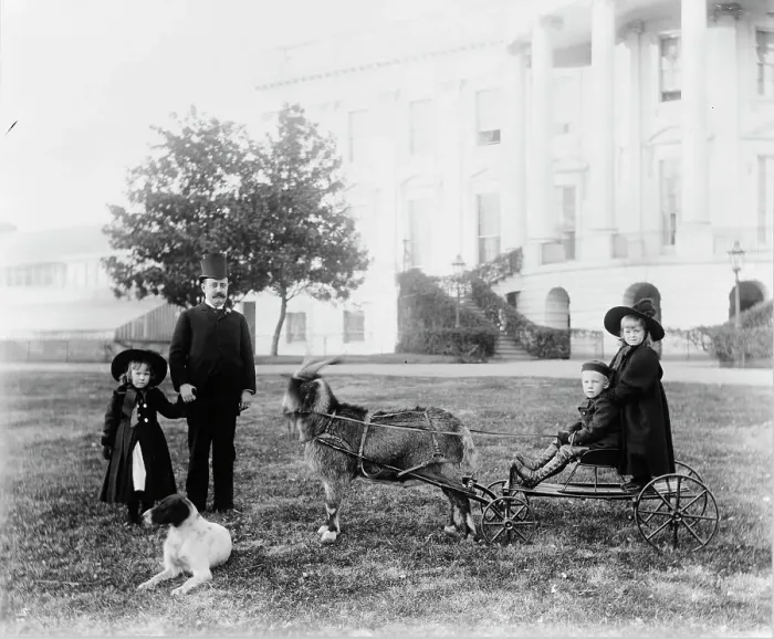 Framed Print : White House--Major Russell Harrison and Harrison children--Baby McKee and sister... c1889 - 1893. Creator: Frances Benjamin Johnston Framed Print : White House--Major Russell Harrison and Harrison children--Baby McKee and sister... c1889 - 1893. Creator: Frances Benjamin Johnston