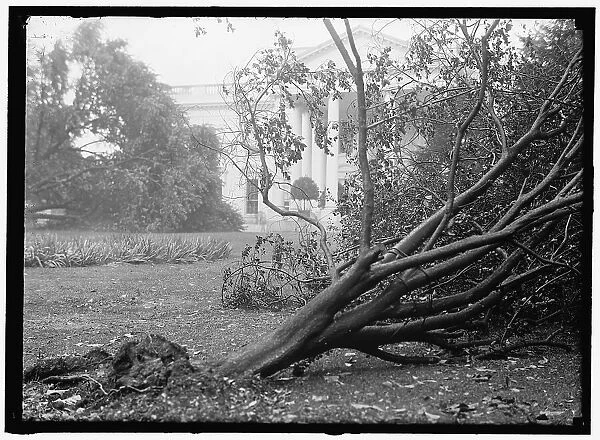 White House - storm damage, between 1913 and 1918. Creator: Harris & Ewing. White House - storm damage, between 1913 and 1918. Creator: Harris & Ewing
