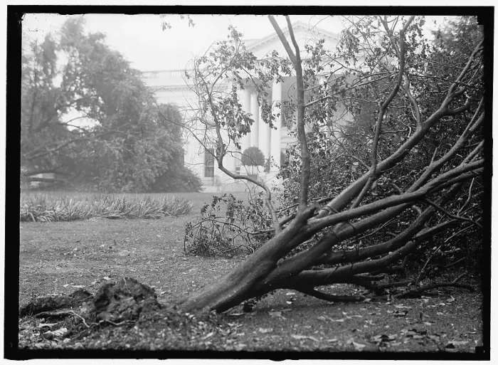 Framed Print : White House - storm damage, between 1913 and 1918. Creator: Harris & Ewing. White House - storm damage, between 1913 and 1918. Creator: Harris & Ewing Framed Print : White House - storm damage, between 1913 and 1918. Creator: Harris & Ewing. White House - storm damage, between 1913 and 1918. Creator: Harris & Ewing