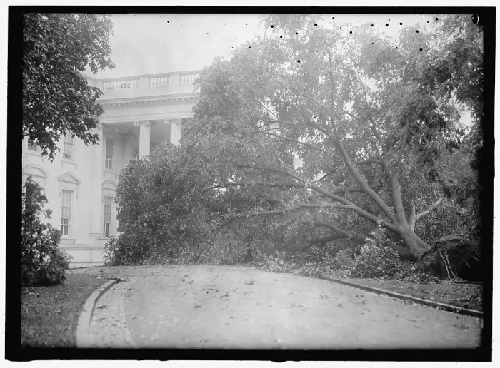 Framed Print : White House - storm damage, between 1913 and 1918. Creator: Harris & Ewing. White House - storm damage, between 1913 and 1918. Creator: Harris & Ewing Framed Print : White House - storm damage, between 1913 and 1918. Creator: Harris & Ewing. White House - storm damage, between 1913 and 1918. Creator: Harris & Ewing