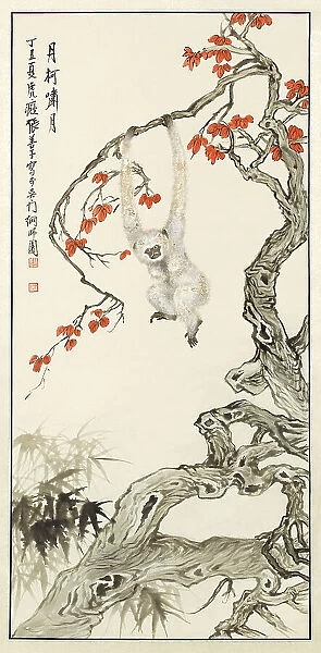 White monkey, 1937. Creator: Zhang Shanzi