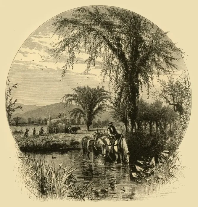 Framed Print : The White Mountains, from the Conway Meadows, 1872. Creator: Harry Fenn Framed Print : The White Mountains, from the Conway Meadows, 1872. Creator: Harry Fenn