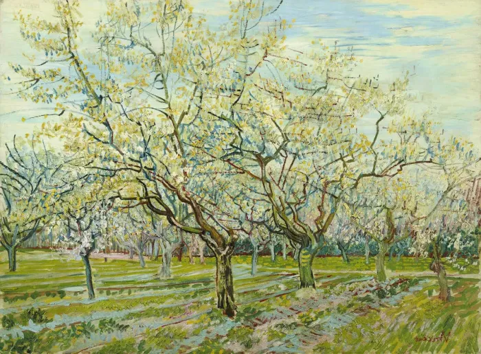 Framed Print : The white orchard, 1888. Artist: Gogh, Vincent, van (1853-1890) Framed Print : The white orchard, 1888. Artist: Gogh, Vincent, van (1853-1890)