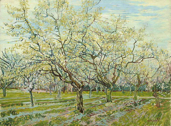 The white orchard, 1888. Artist: Gogh, Vincent, van (1853-1890)