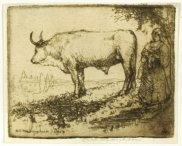 The White Ox, 1905. Creator: Donald Shaw MacLaughlan