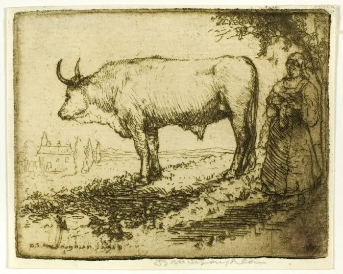 Framed Print : The White Ox, 1905. Creator: Donald Shaw MacLaughlan Framed Print : The White Ox, 1905. Creator: Donald Shaw MacLaughlan