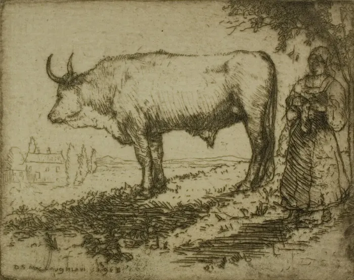 Framed Print : The White Ox, 1905. Creator: Donald Shaw MacLaughlan Framed Print : The White Ox, 1905. Creator: Donald Shaw MacLaughlan