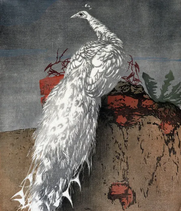 Framed Print : White peacock, 1910. Creator: Hans Frank Framed Print : White peacock, 1910. Creator: Hans Frank